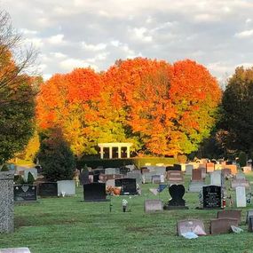 sunset in autumn